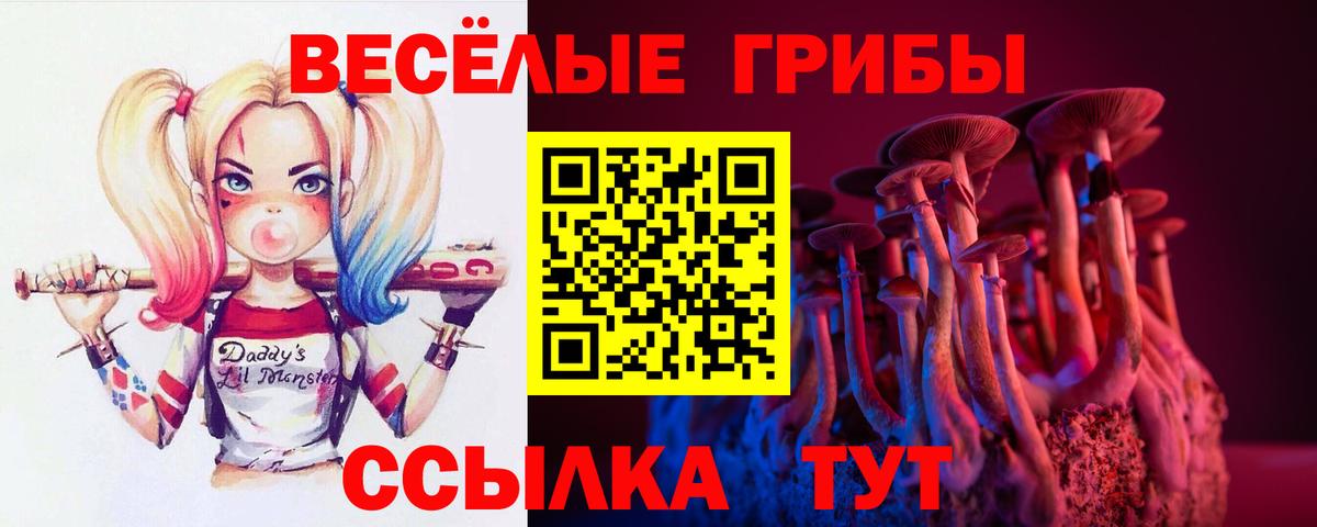 Псилоцибиновые грибы Надым